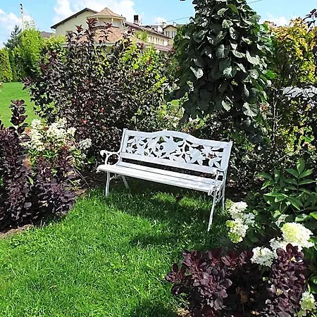 Margerita